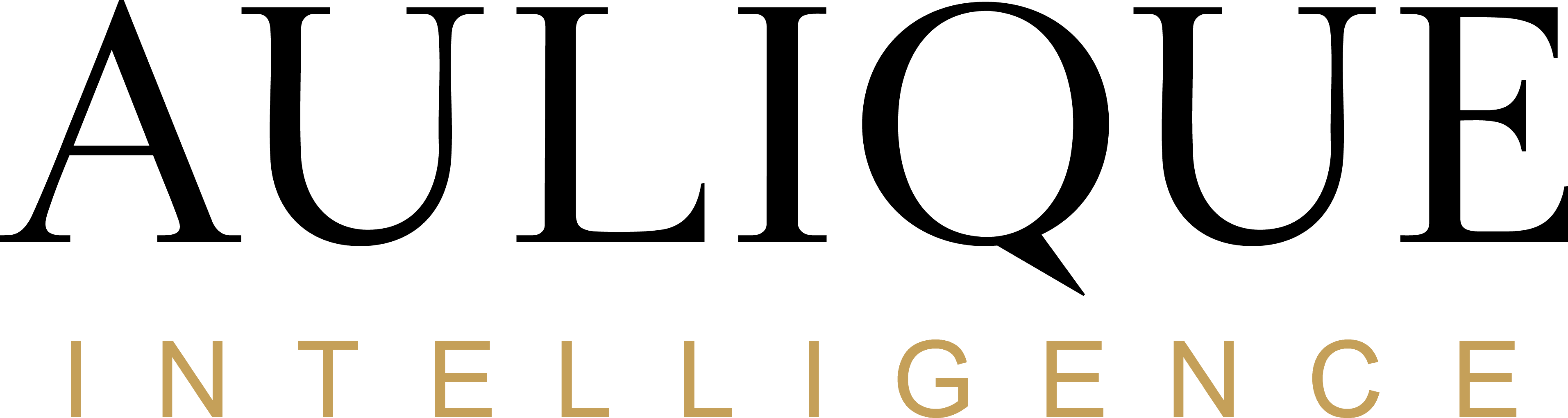 Aulique Intelligence